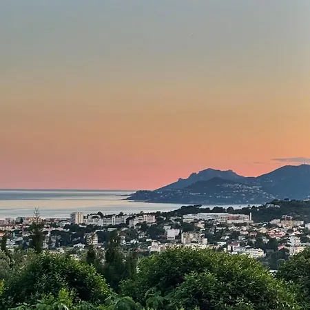 The Palm - Vue - Hauteurs De Cannes Hotel 4*