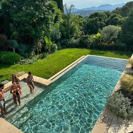 Hotel The Palm - Vue - Hauteurs De Cannes