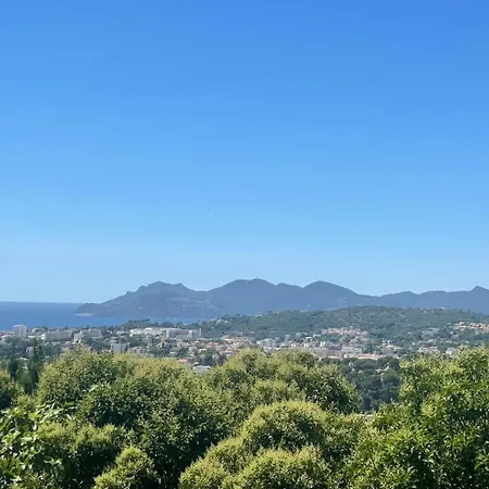 The Palm - Vue - Hauteurs De Cannes 4* Le Cannet